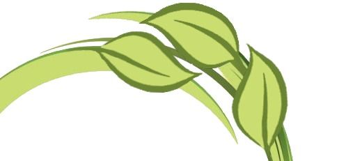 Logo Jolande Velgersdijk-Praktijk voor Klassieke Homeopathie